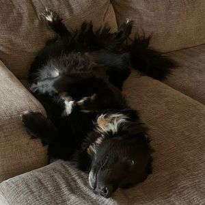 Meet your Posher, Kyle